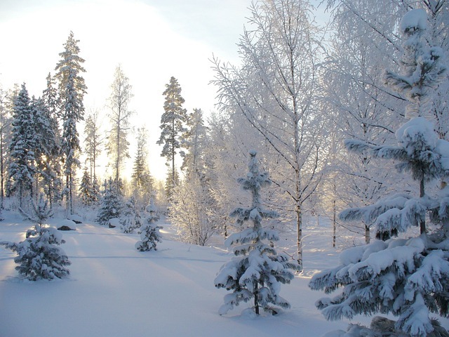 finlandia amianto